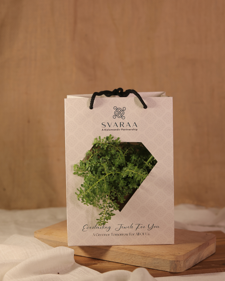 Svaraa