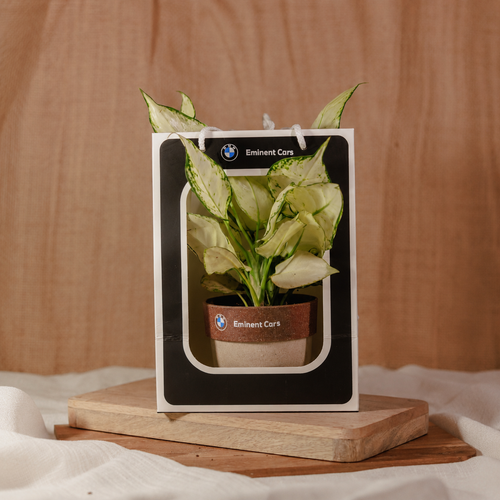 Corporate Gifts