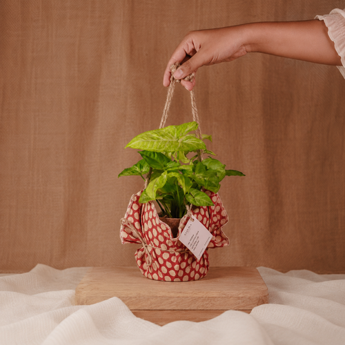 Festive Gifts