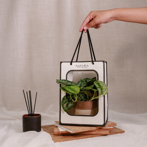 Housewarming Gifts